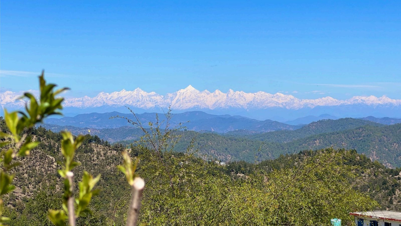 Five Hills Cottage, Mukteshwar photo